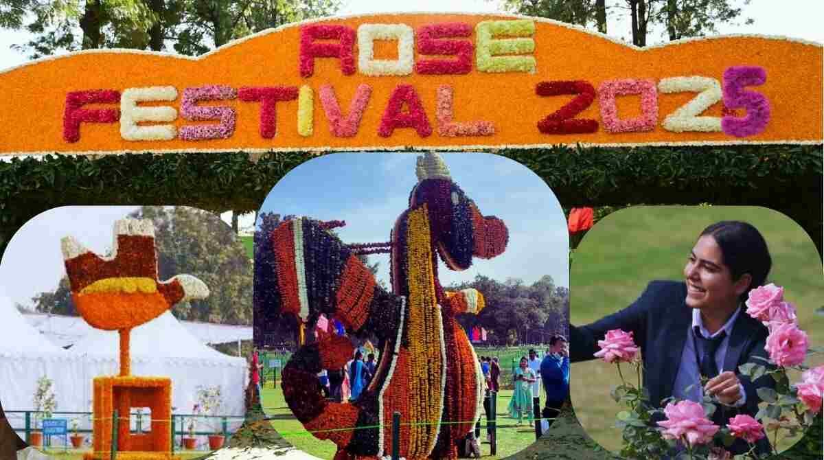 Rose Festival Chandigarh 2025